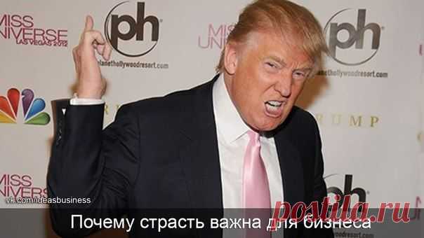 Миллиардер Дональд Трамп: почему страс / Сферический бизнес