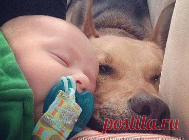 Igor Т
53 года, Россия, Moscow-Sankt-Peterburg