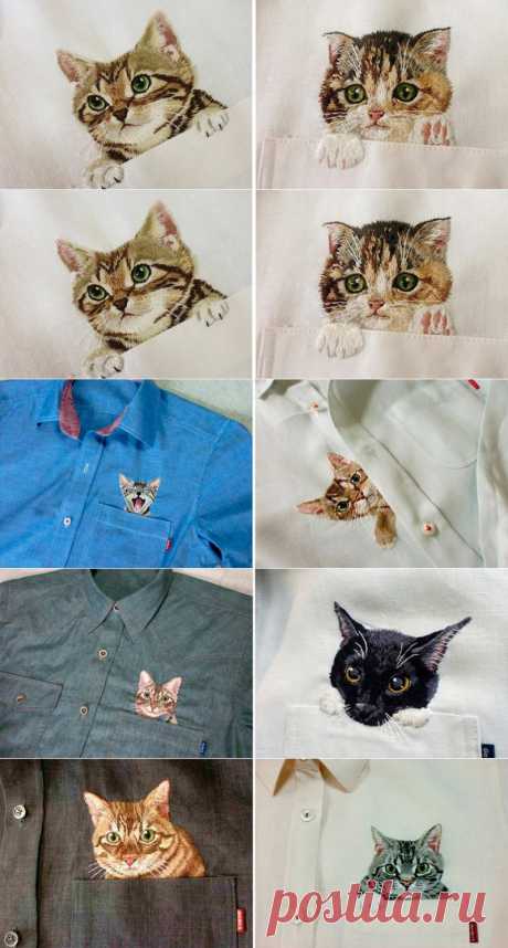 Котики на рубашке - в блоге Blogbaster.org