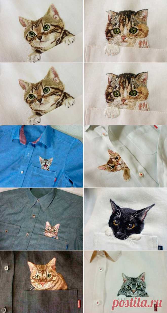 Котики на рубашке - в блоге Blogbaster.org