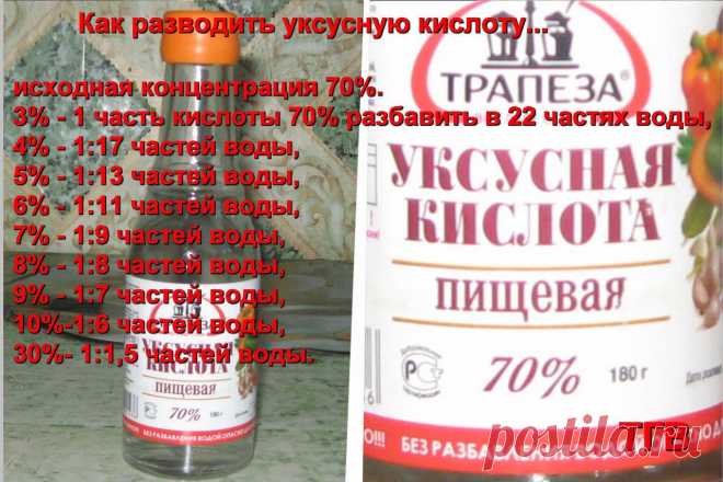 погребок | 35 фотографий