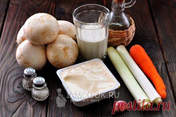 Сливочный суп с грибами и плавленным сыром — рецепт с фото пошагово. Как сварить грибной суп со сливками и сыром?