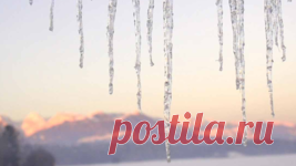 Как вырастить большой урожай помидоров - Почта Mail.Ru