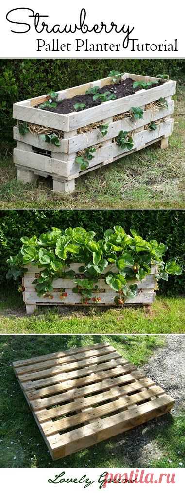 (3) The Tiberian Growdome System