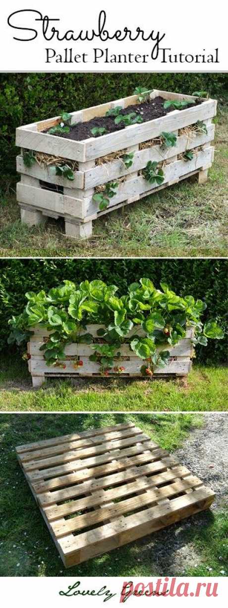 (3) The Tiberian Growdome System