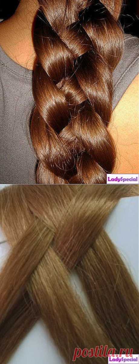 Как плести косу из 4 прядей? - Женский журнал LadySpecial.ru