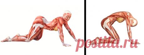 10 упражнений на растяжку, которые подарят вам гибкость кошки за 4 недели
Пластичность мышц гораздо сильнее влияет на наше самочувствие, чем мы думаем. Эксперты считают, что развитая гибкость...
Читай дальше на сайте. Жми подробнее ➡