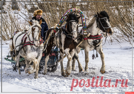 Фото: Доброе утро ДРУЗЬЯ! Доброго ВАМ ВСЕМ ЗДРАВИЯ, ДОБРА и ДОБРЫХ ДЕЛ!. Фотограф ФотоСОП. Репортаж - Фотосайт Расфокус.ру
