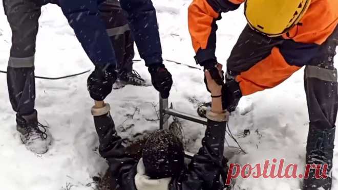 На Алтае женщина провалилась в канализационный люк вместе с собакой. В Барнауле местная жительница провалилась в канализационный люк во время прогулки с собакой. Выбраться самостоятельно из западни женщина не смогла, ей потребовалась помощь спасателей. Об этом сообщили в пресс-службе МЧС РФ. Женщина гуляла ...