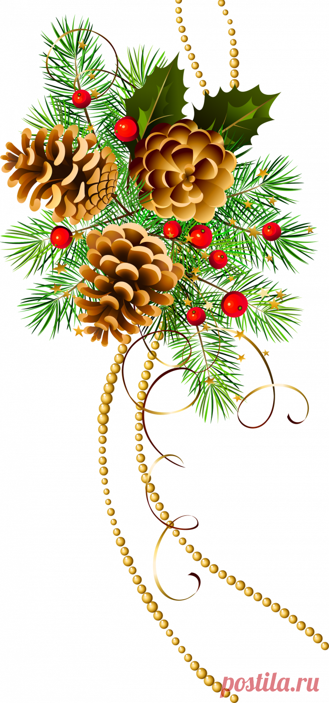 0d61206679f91f7496d7bd5edfbbce37.png (1550×3309)