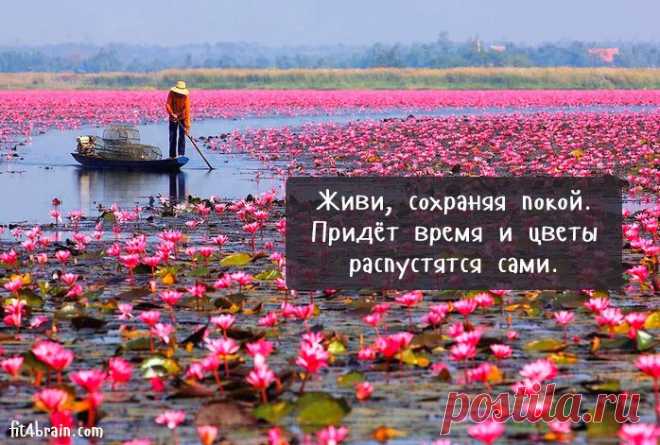 Древняя китайская мудрость