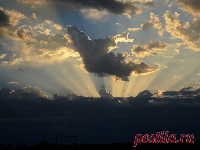 ФОТОМАСТЕРСКАЯ ПРИРОДЫ
Лидия Кашицина (мосенкова)