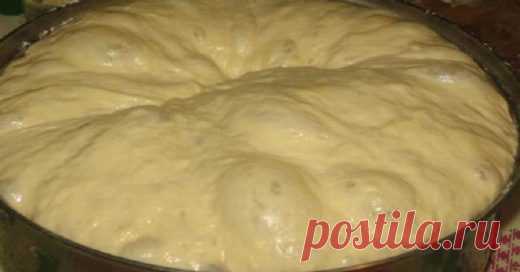 ПРОСТОЙ РЕЦЕПТ САМОГО ВКУСНОГО ТЕСТА НА ПИРОЖКИ: