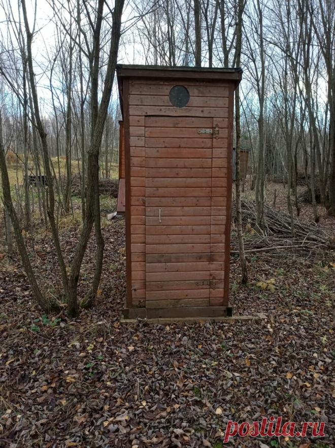 Зашел в уличный туалет к соседке и увидел два сиденья друг напротив друга. Когда узнал в чем дело, самому захотелось также. | Большое хозяйство | Яндекс Дзен