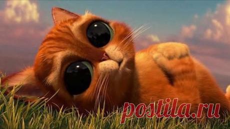 Ольга Трубенко