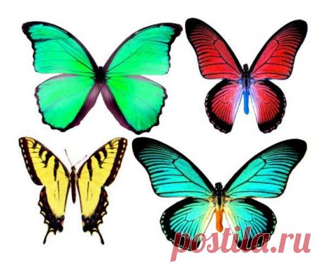 Картинки для творчества | 1 772 фотографии | ВКонтакте