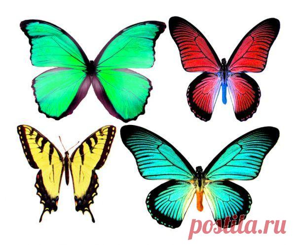 Картинки для творчества | 1 772 фотографии | ВКонтакте