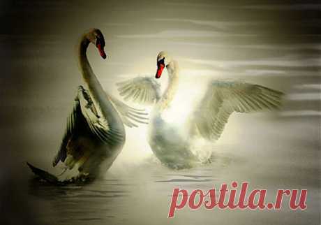 Художник: Augusto Peixoto