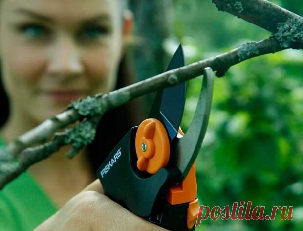 Зачем в фарш добавлять сахар? Если вы любите готовить и постоянно повышаете свое кулинарное мастерство, тогда эта замечательная подборка для вас. Пользуясь этими советами, вы станете еще ближе к тому, чтобы стать идеальной хозяйкой...