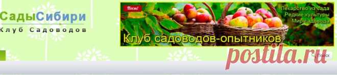 Распопов Геннадий Фёдорович, садовод-испытатель из Новгородской области, публикации - Сады Сибири
