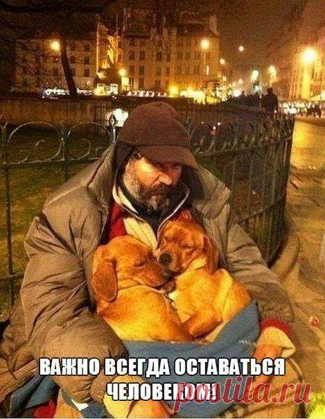 Классные фразы дня / Писец - приколы