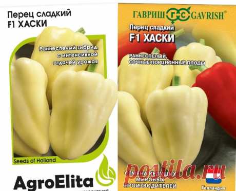 Его расхватывают: 3 сорта раннего перца - урожай вместе с клубникой. Крупный, с толстой стенкой, вкусный, урожайный - лучший из ранних | В саду у Валентинки | Дзен