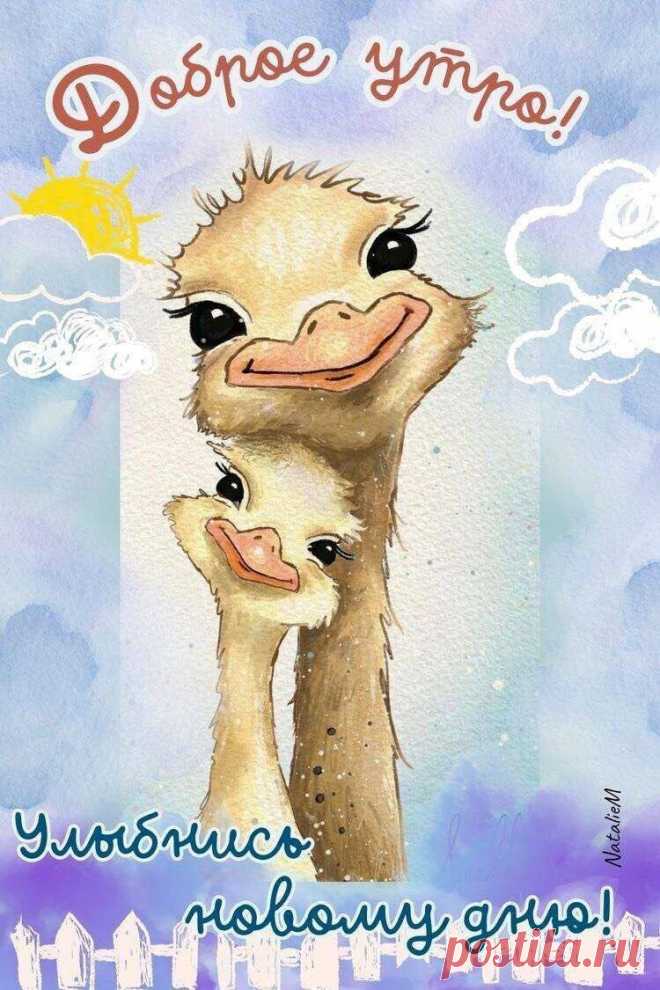 Улыбнись новому дню (открытка 1531): Бесплатные картинки &#8226; Открытки Топ