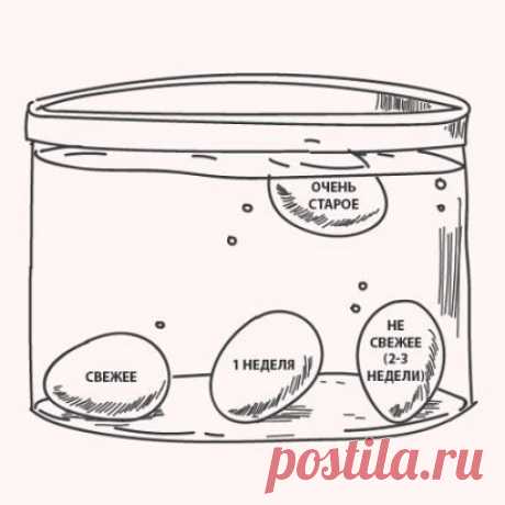 Дневник Montileda : КАК ОПРЕДЕЛИТЬ СВЕЖЕСТЬ ЯЙЦА