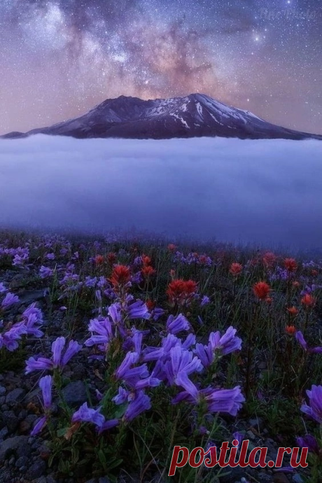 i (564×846)