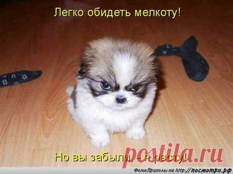 НиТкИ/ПиЛа* Граф: Нашедшему смысл жизни, просьба руками не трогать и не перепрятывать!