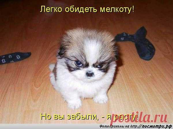 НиТкИ/ПиЛа* Граф: Нашедшему смысл жизни, просьба руками не трогать и не перепрятывать!