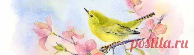 Drawn In | Art • Nature • Exploration