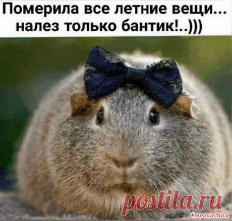 Про нас, немодельных - 9 - ВЯЗАНАЯ МОДА+ ДЛЯ НЕМОДЕЛЬНЫХ ДАМ - Страна Мам