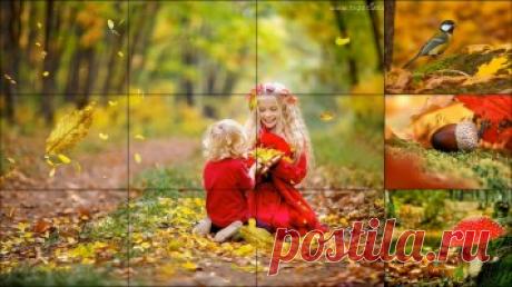 Текст песни - Осень в лесу - Детские видеоклипы
