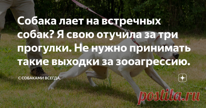 Собака лает на встречных собак? Я свою отучила за три прогулки. Не нужно принимать такие выходки за зооагрессию. Статья автора «С собаками всегда.» в Дзене ✍: В последнее время очень часто попадается мне такой термин, как 