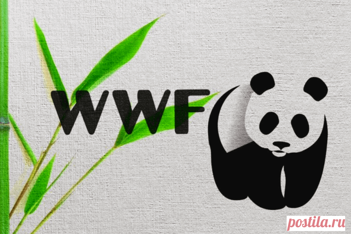 🔥 Международный фонд защиты животных: история успеха World Wide Fund for Nature (WWF), Всемирного фонда дикой природы
👉 Читать далее по ссылке: https://lindeal.com/business/mezhdunarodnyj-fond-zashchity-zhivotnykh-istoriya-uspekha-world-wide-fund-for-nature-wwf-vsemirnogo-fonda-dikoj-prirody