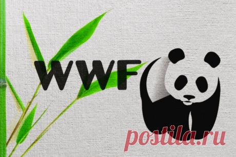 🔥 Международный фонд защиты животных: история успеха World Wide Fund for Nature (WWF), Всемирного фонда дикой природы
👉 Читать далее по ссылке: https://lindeal.com/business/mezhdunarodnyj-fond-zashchity-zhivotnykh-istoriya-uspekha-world-wide-fund-for-nature-wwf-vsemirnogo-fonda-dikoj-prirody