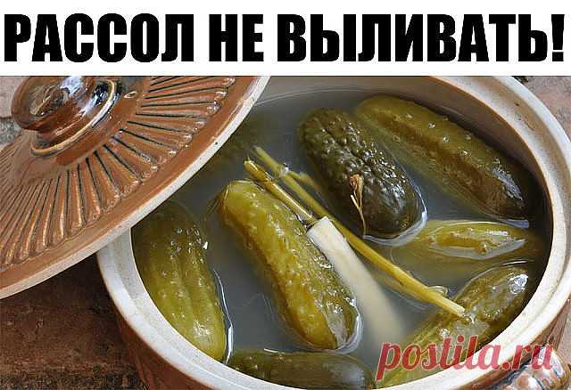 РАССОЛ НЕ ВЫЛИВАТЬ!!!
Почти каждая уважающая себя хозяйка использует в повседневной готовке соленья. Обычно, от этих солений остается рассол. Очень хочу поделиться с вами секретами и советами, как же можно использовать этот ценный продукт. Итак, рассол не выливаем, а пускаем в дело! 

Из любого рассола можно приготовить очень вкусное печенье. 
Для его приготовления необходимо: 

по 10 ст. л рассола, сахарного песка и растит. масла, 1 ст. л гашеной соды, 0,5 кг муки. Все ин...