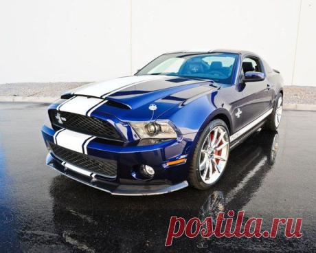 Ford Mustang Shelby GT500 Super Snake / Только машины