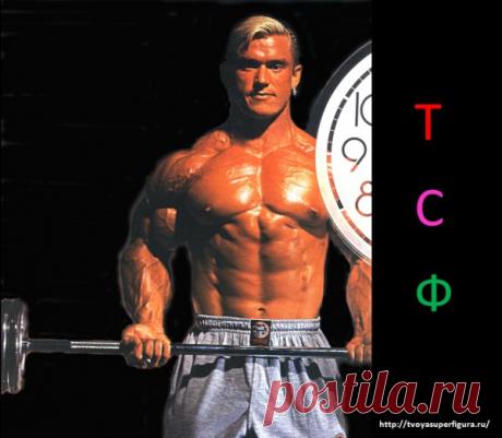 Как накачать мышцы. Программы от Дэна Уэгмана