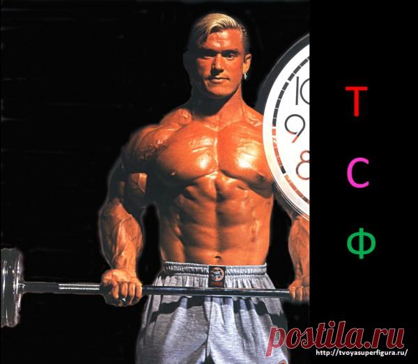 Как накачать мышцы. Программы от Дэна Уэгмана