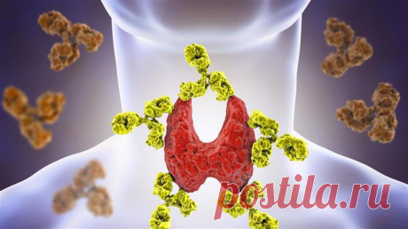 Почему Аутоиммунный тиреоидит (АИТ) - не болезнь? | Клиника щитовидной железы | Дзен