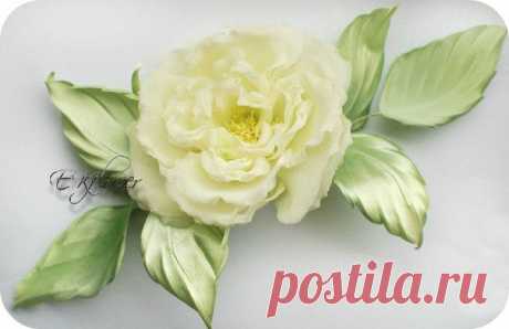 сообщение Галина-мечтательница : Видео мастер-класс по изготовлению шелковой розы «Бланш». Часть 1: выкраивание и покраска (10:17 10-09-2015) [5085755/371455945] - lada.semenova.69@mail.ru - Почта Mail.Ru