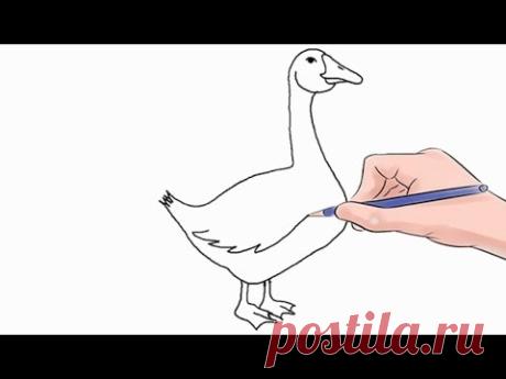 нарисовать гуся легкий шаг за шагом