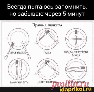 Всегда пытаюсь запомнить, но забываю через 5 минут Правила этикета, ох НЕПОНРАБИЛОСЬ ПРЕВОСХОАНО - ) / АйДаПрикол .)
