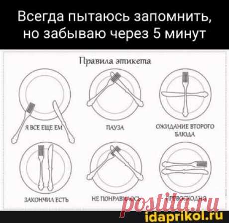 Всегда пытаюсь запомнить, но забываю через 5 минут Правила этикета, ох НЕПОНРАБИЛОСЬ ПРЕВОСХОАНО - ) / АйДаПрикол .)