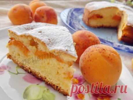 Пирог со свежими абрикосами