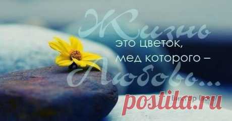 Мой Мир@Mail.RuЖизнь-это цветок...