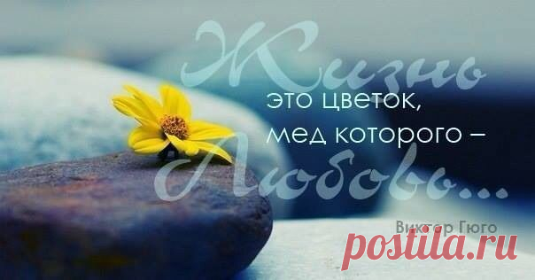 Мой Мир@Mail.RuЖизнь-это цветок...