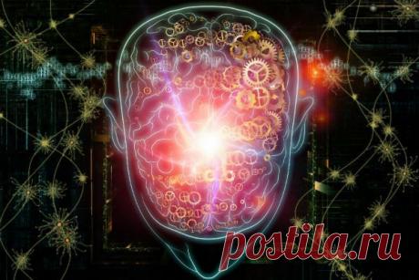 13.04.2015. - Колебания кровяного движения в мозге улучшают память